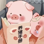 睢宁县正美货运经营部